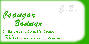 csongor bodnar business card